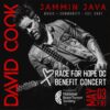 David Cook to give Race for Hope DC benefit concert May 3 in Vienna, VA